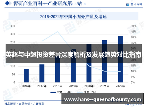 英超与中超投资差异深度解析及发展趋势对比指南