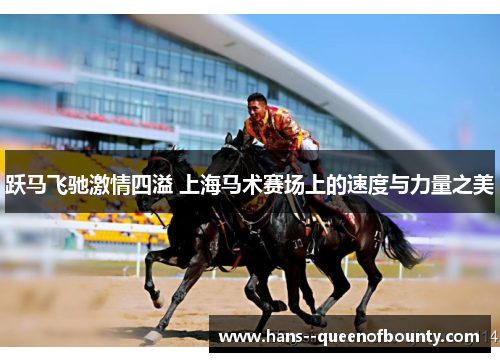 跃马飞驰激情四溢 上海马术赛场上的速度与力量之美