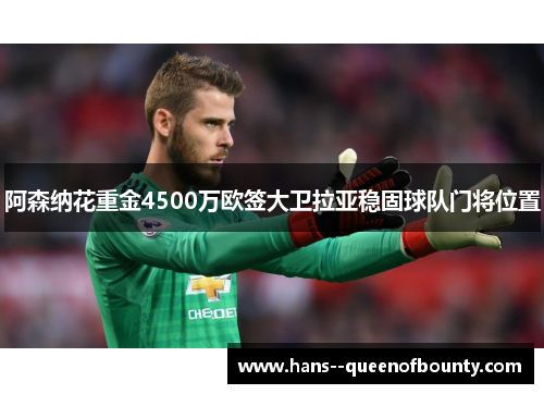 阿森纳花重金4500万欧签大卫拉亚稳固球队门将位置
